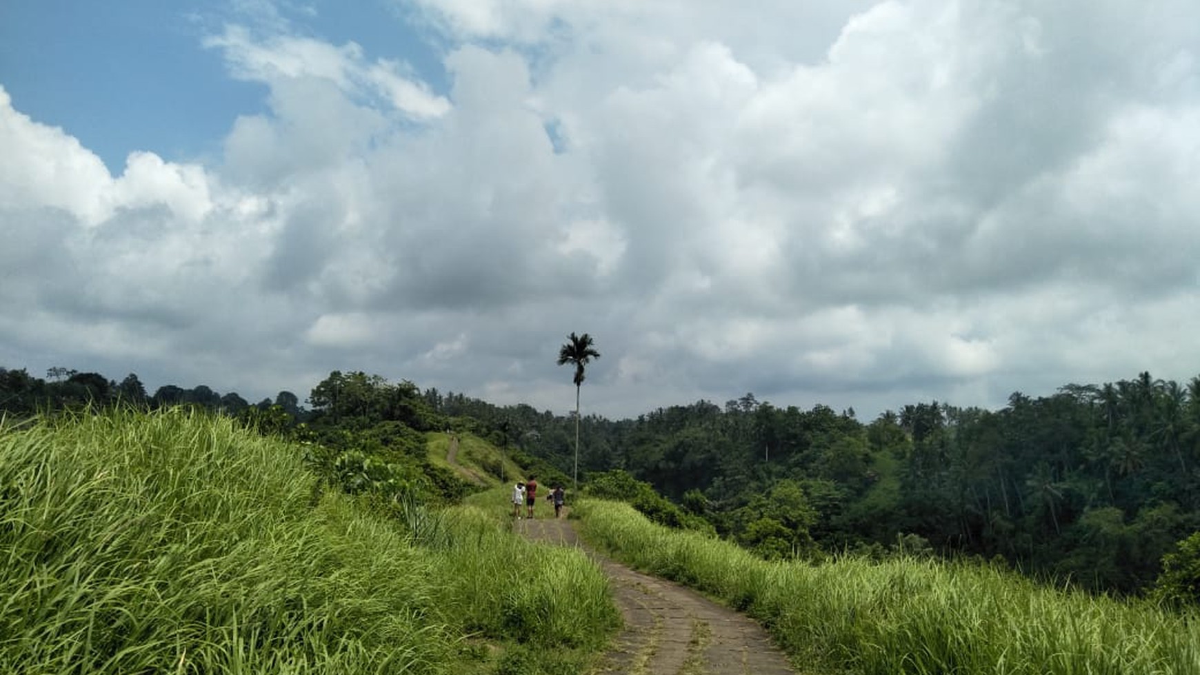 Land Freehold 26000 Sqm in Campuan Ubud