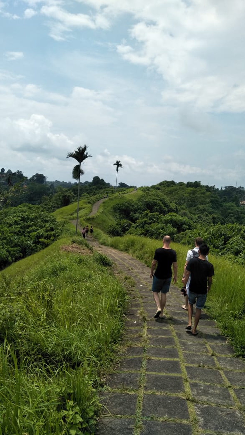 Land Freehold 26000 Sqm in Campuan Ubud