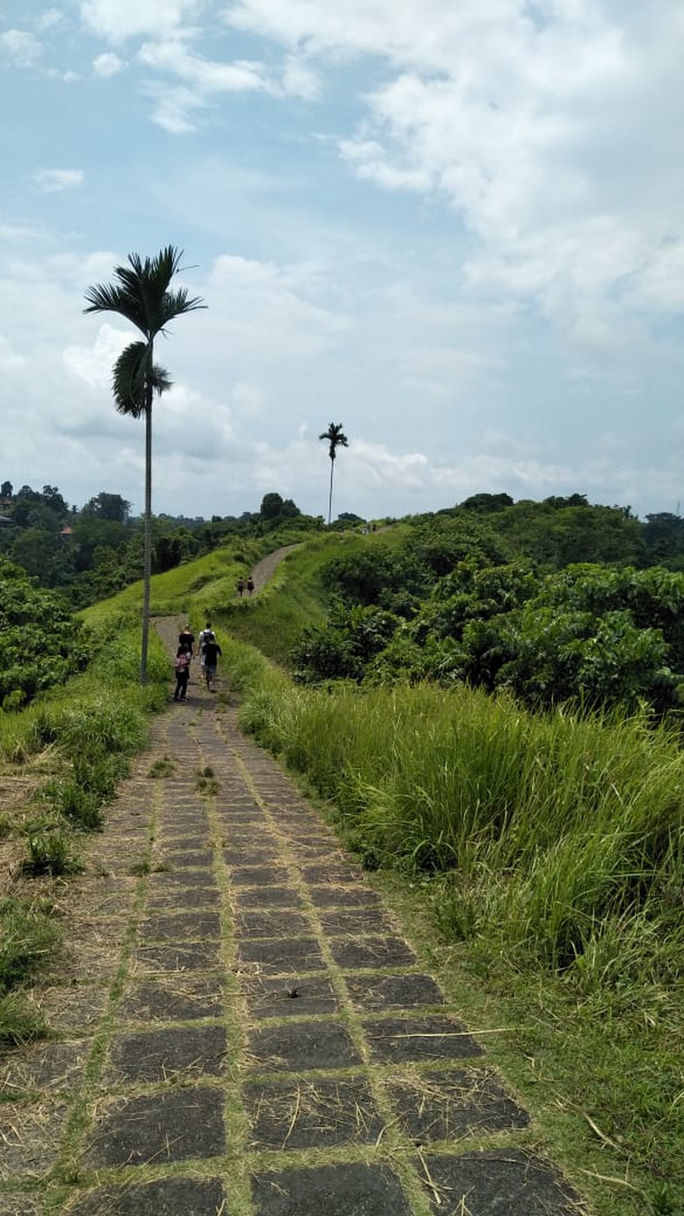 Land Freehold 26000 Sqm in Campuan Ubud