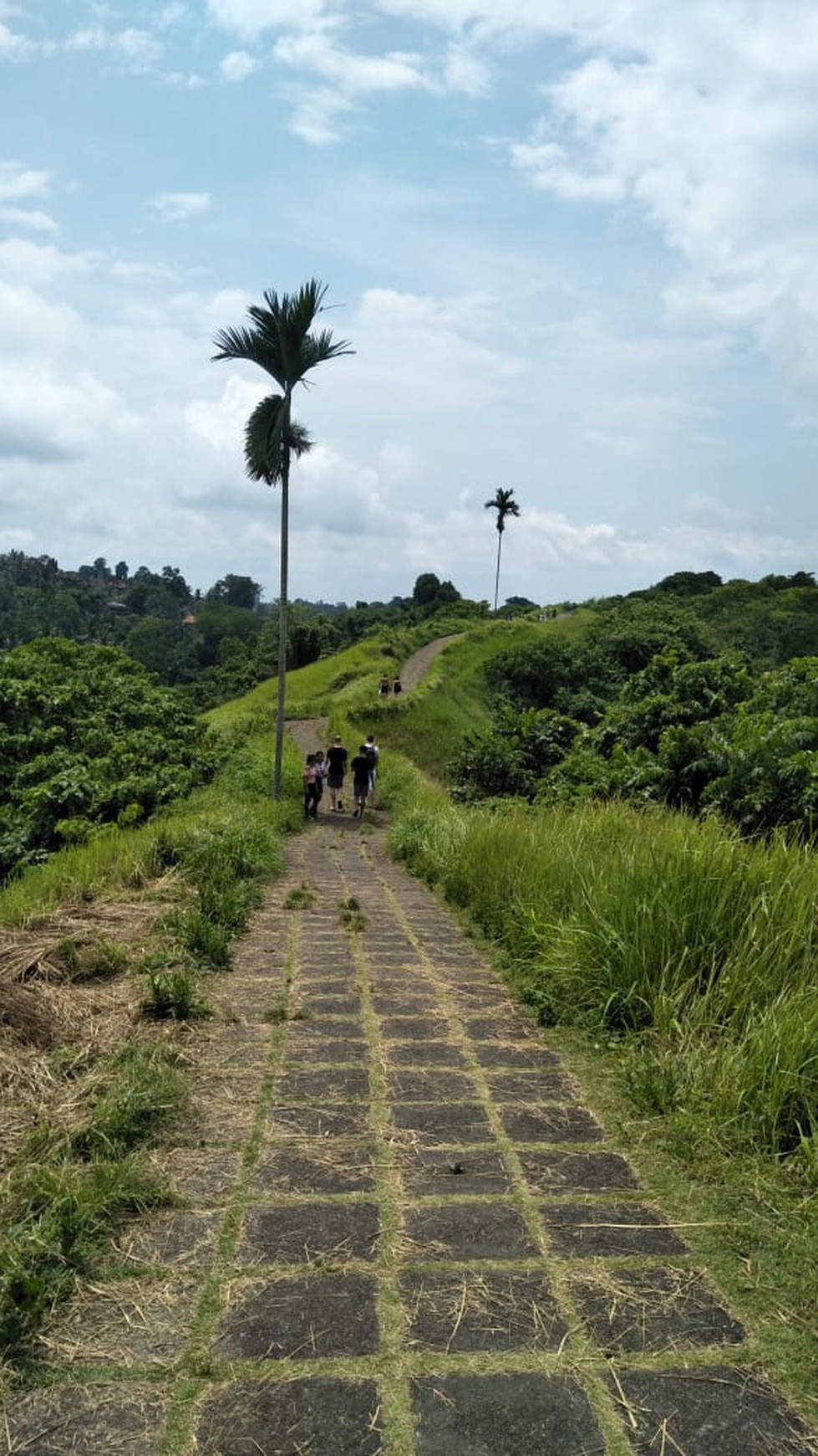 Land Freehold 26000 Sqm in Campuan Ubud