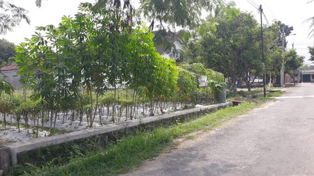 TANAH PEKARANGAN, DI JL UMBUL KULON LOJAJAR, SLEMAN