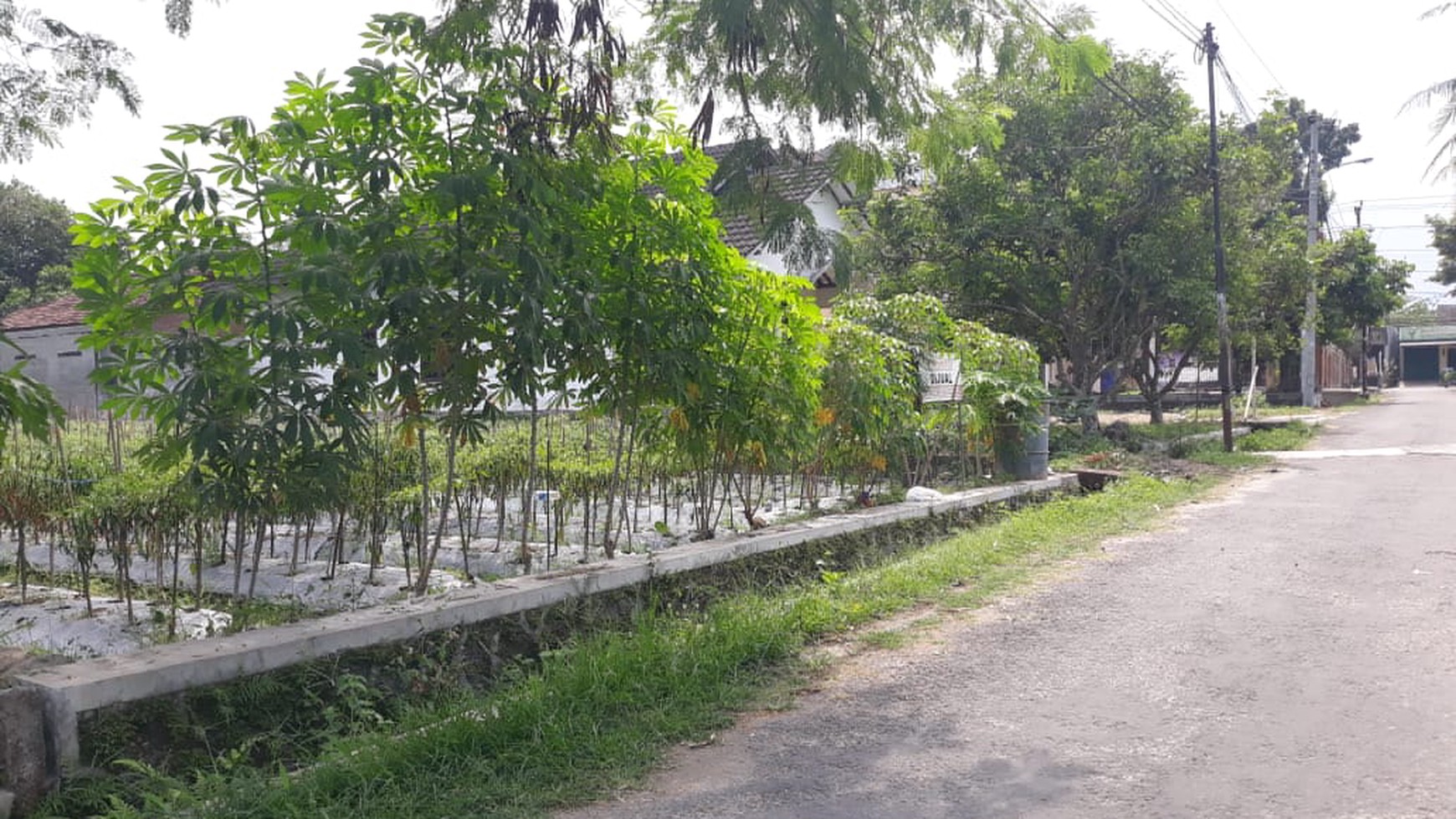 TANAH PEKARANGAN, DI JL UMBUL KULON LOJAJAR, SLEMAN