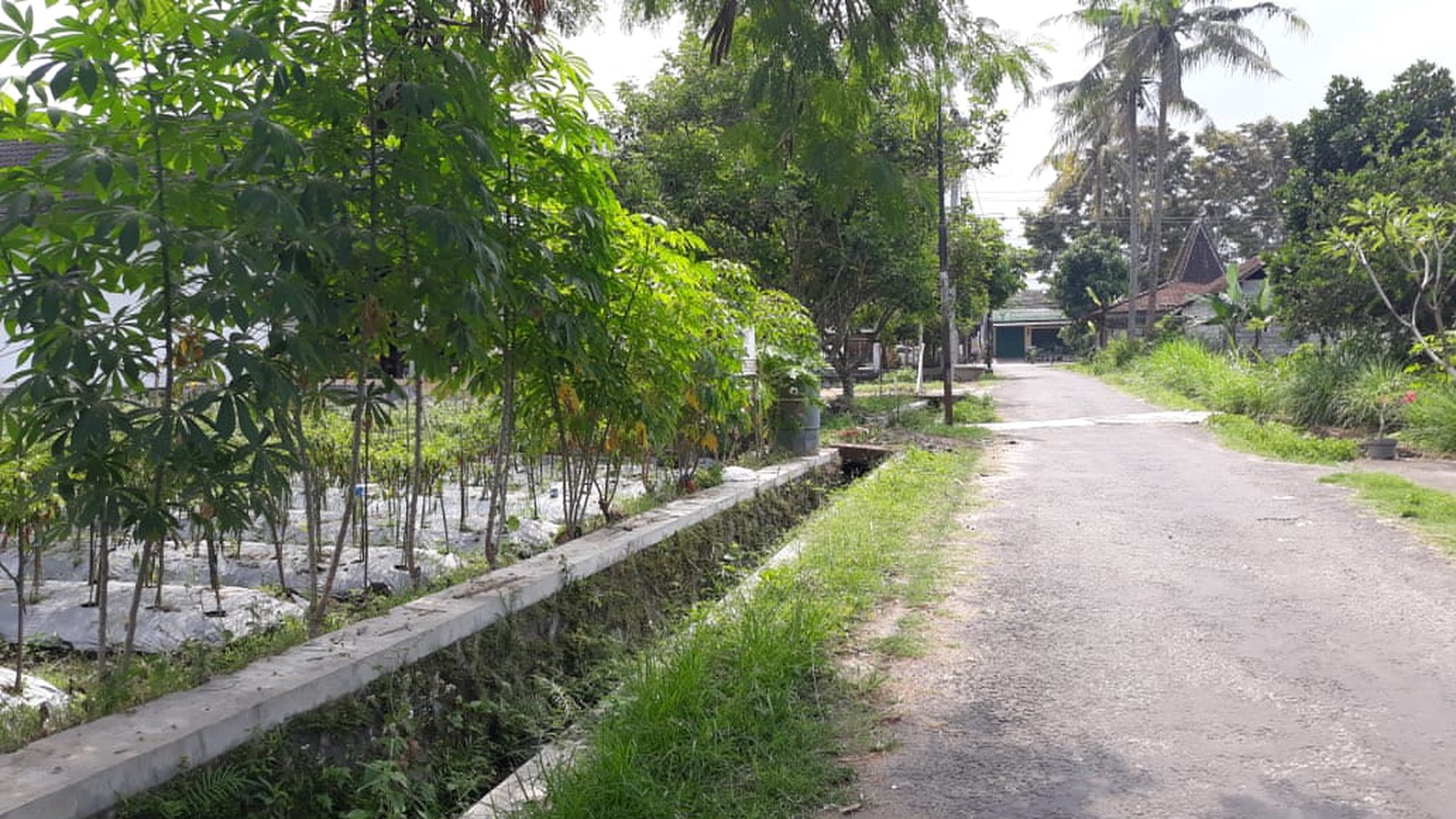 TANAH PEKARANGAN, DI JL UMBUL KULON LOJAJAR, SLEMAN