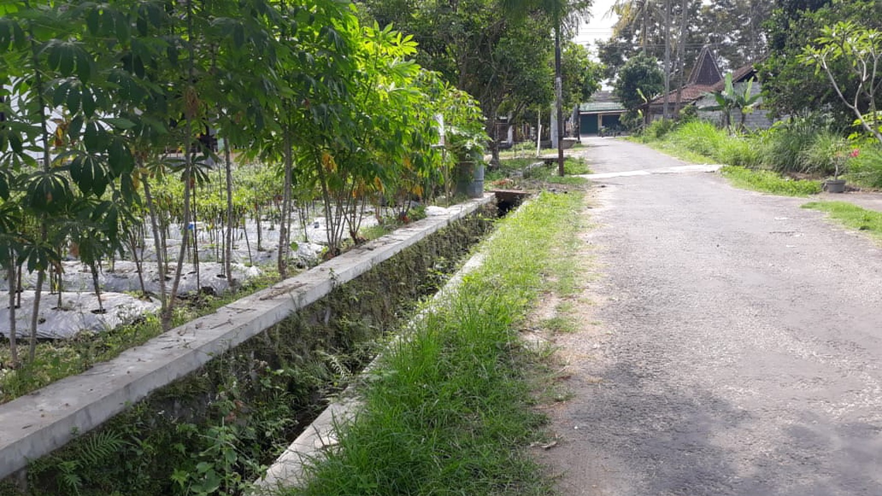 TANAH PEKARANGAN, DI JL UMBUL KULON LOJAJAR, SLEMAN