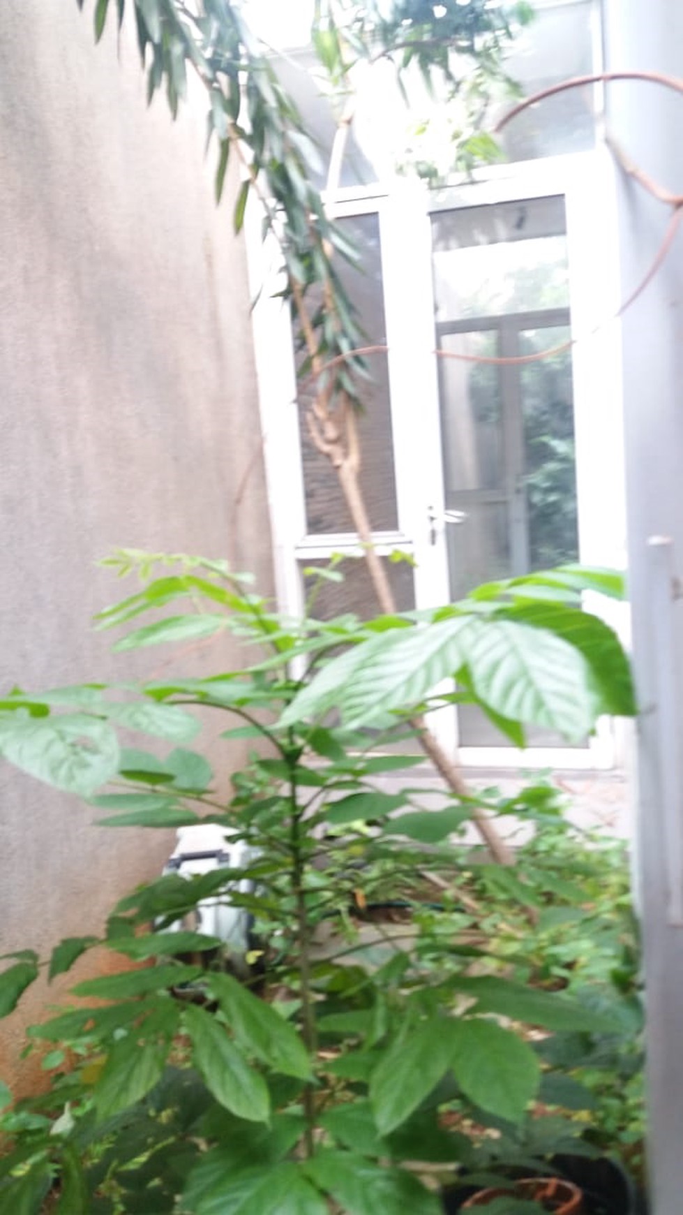 Rumah Bagus Di Puri Bintaro, Bintaro Jaya