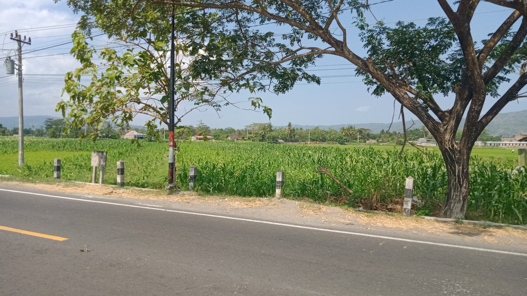 TANAH SAWAH DI JL PARANGTRITIS KM 16,JETIS, BANTUL