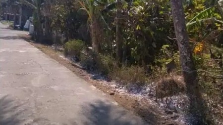 TANAH DIATAS 2000 METER PERSEGI, DI PANGINAN, KULON PROGO