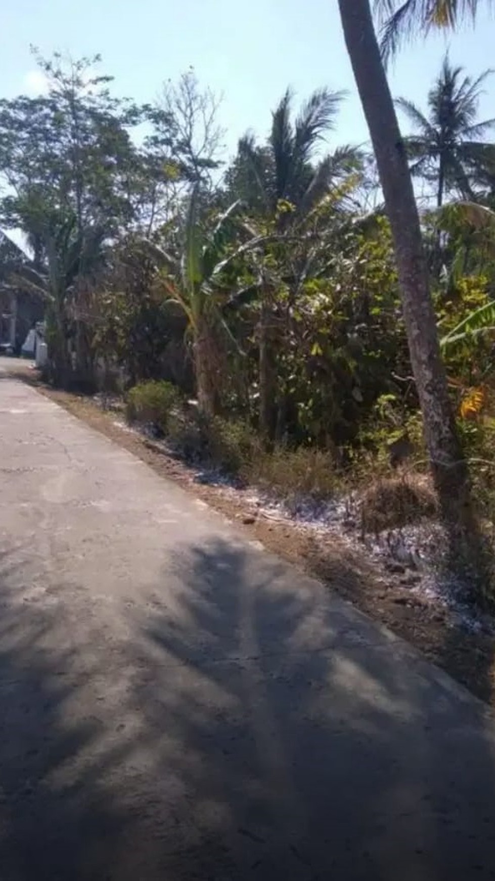 TANAH DIATAS 2000 METER PERSEGI, DI PANGINAN, KULON PROGO