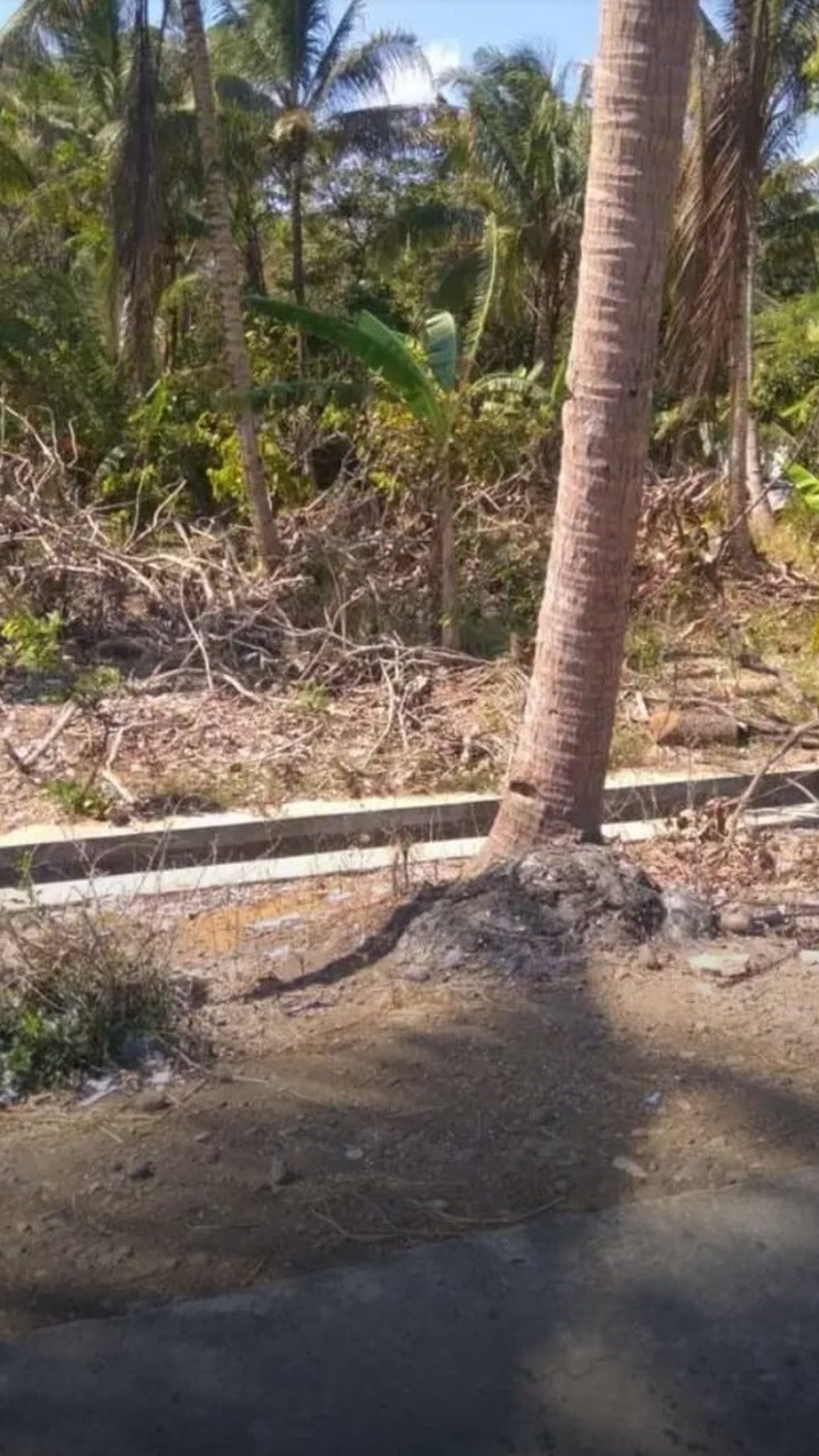 TANAH DIATAS 2000 METER PERSEGI, DI PANGINAN, KULON PROGO