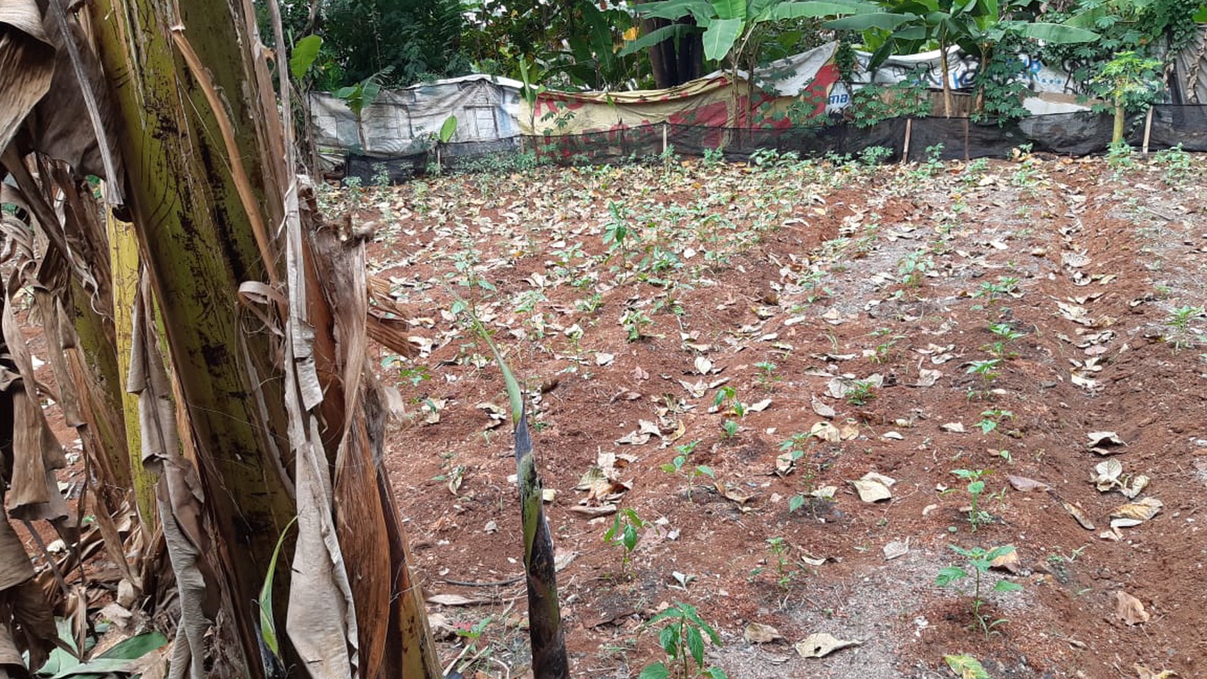 Jual Tanah Pondok Cabe Luas 450 meter