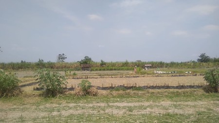 TANAH SAWAH DI BAKUNGAN DEKAT CANDI GEBANG DAN STADION MAGUWOHARJO