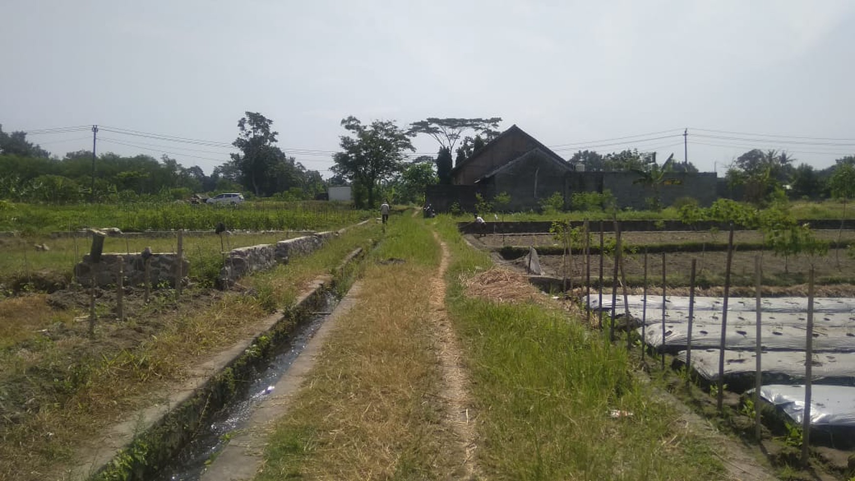 TANAH SAWAH DI BAKUNGAN DEKAT CANDI GEBANG DAN STADION MAGUWOHARJO
