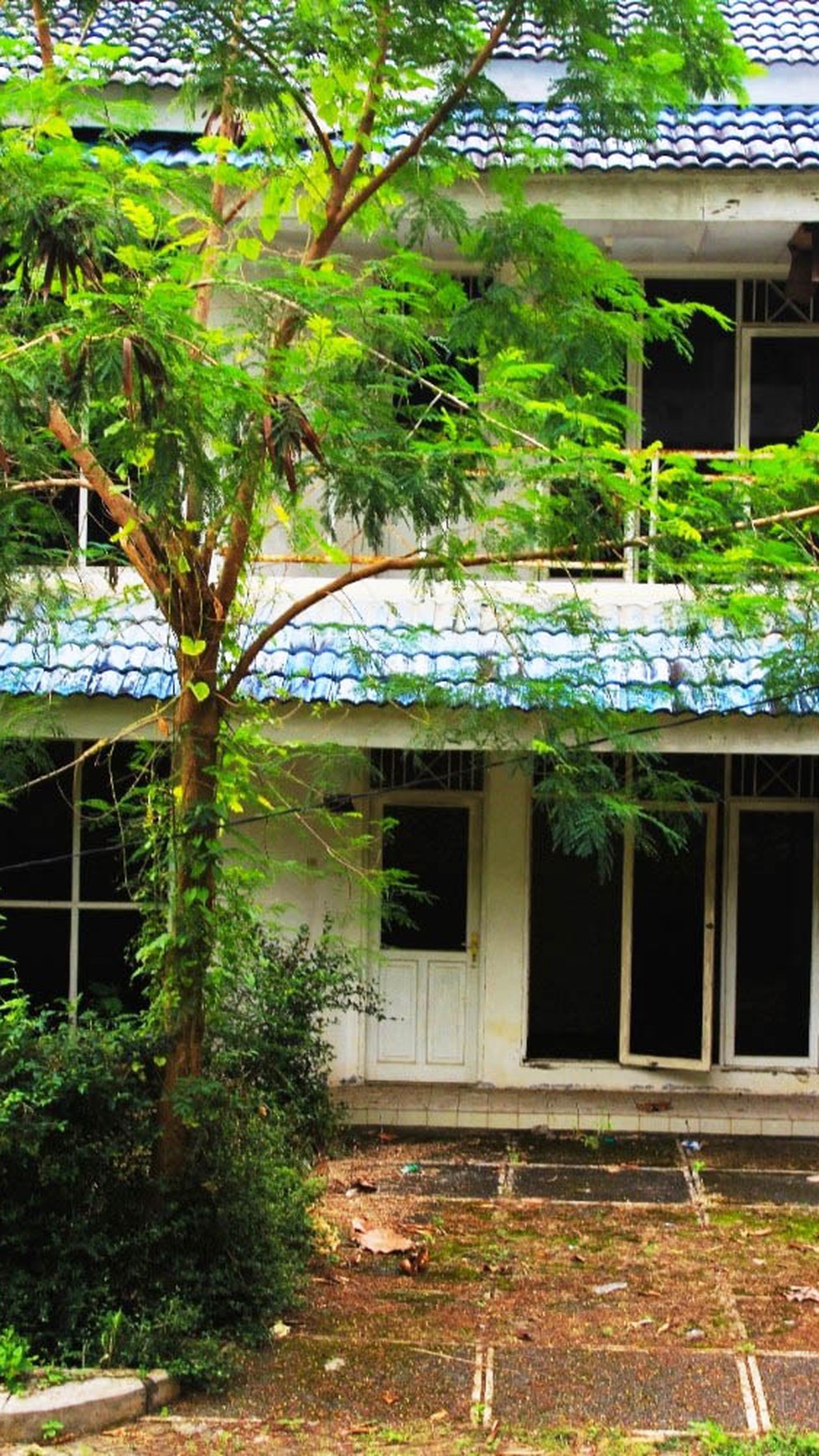 Rumah Dijual Desa Pasauran Cinangka, Luas 107m2, Ada Bangunan 110m2