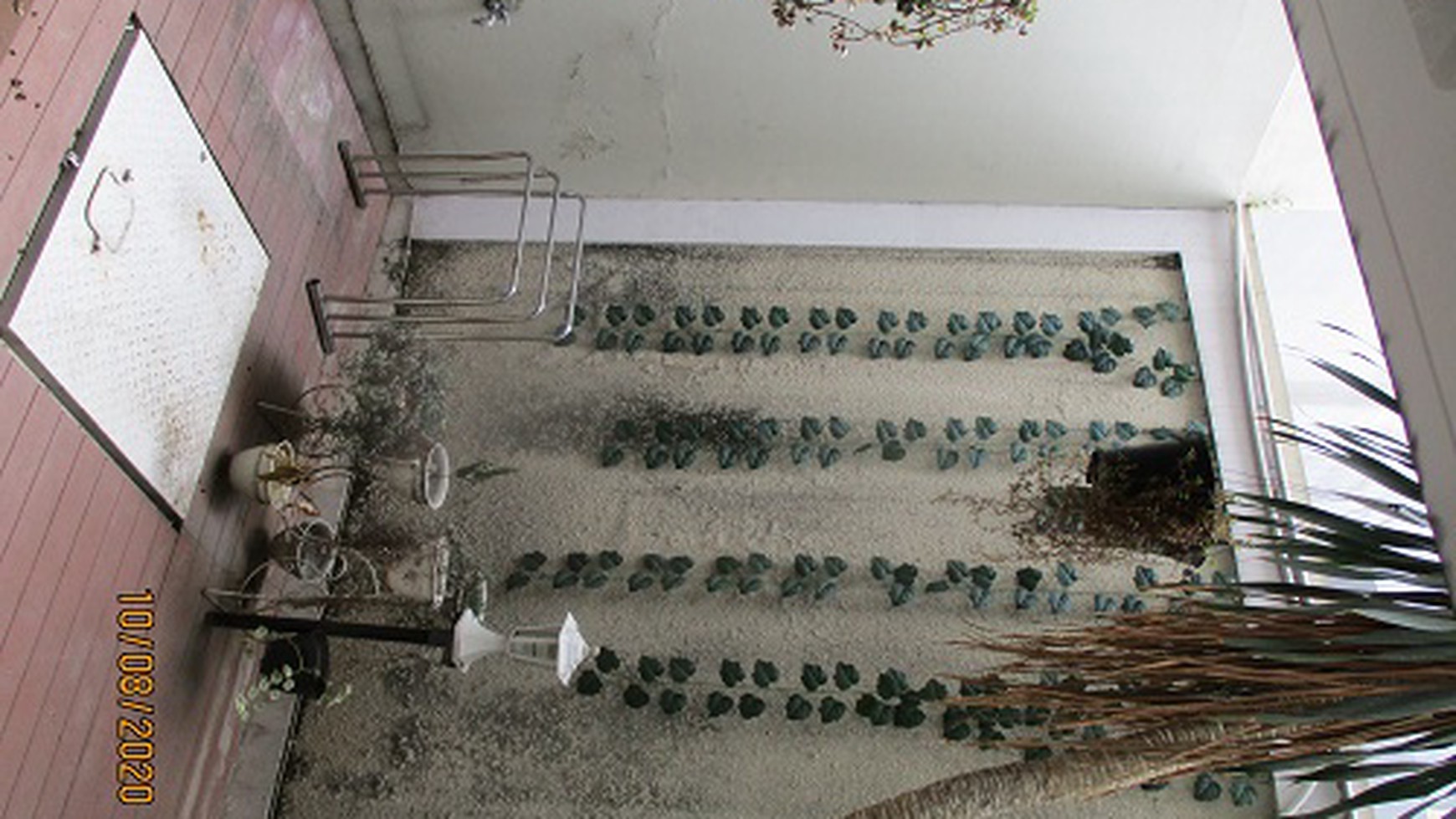 Disewakan Rumah di greenwich BSD Tangerang