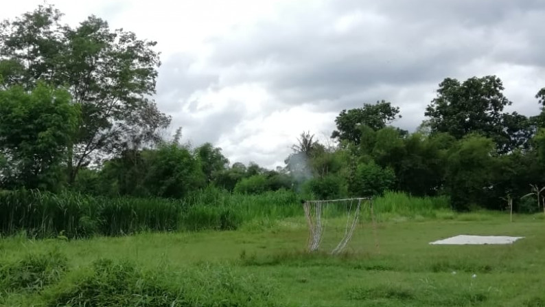 TANAH SAWAH DI JL RAYA SOLO-YOGYAKARTA KM 12