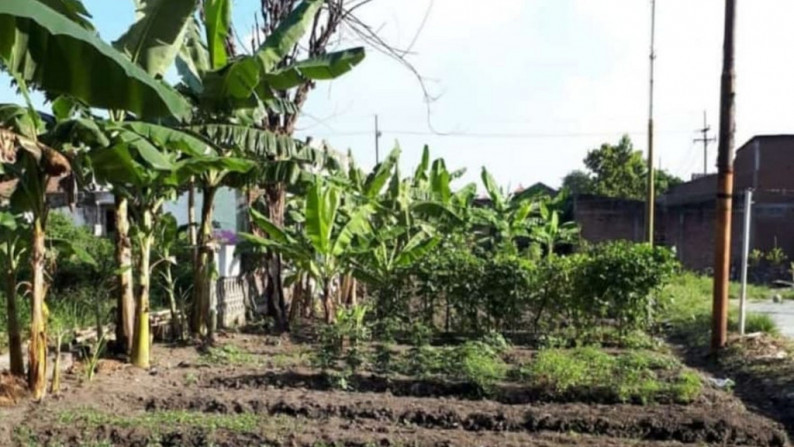 Tanah Dijual Raya Manukan Kulon Tandes Surabaya