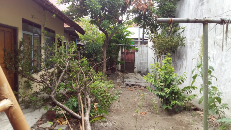 RUMAH TUA DEKAT KAMPUS UGM, DI LOKASI STRATEGIS JL KALIURANG KM 4.7