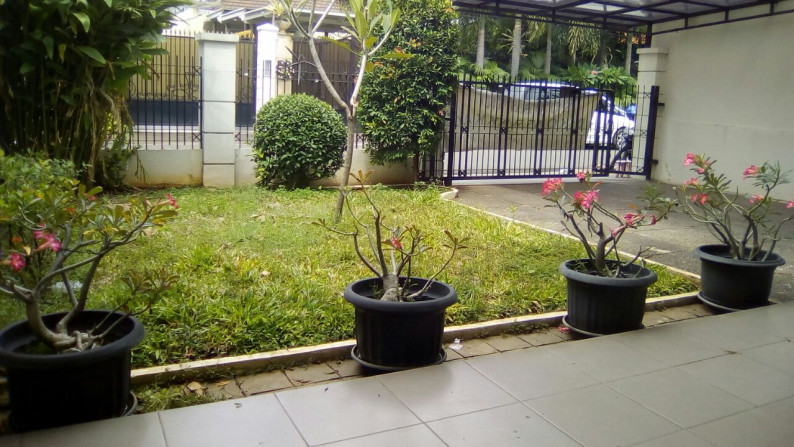 Di sewakan Rumah Minimalis dan Asri Di Menteng, Jakarta Pusat