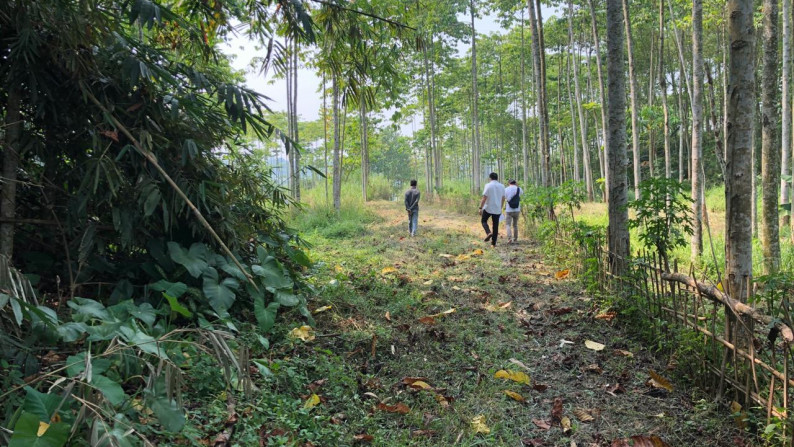 Tanah 15-16Ha Rumpin - Cisauk - Tangerang - Banten