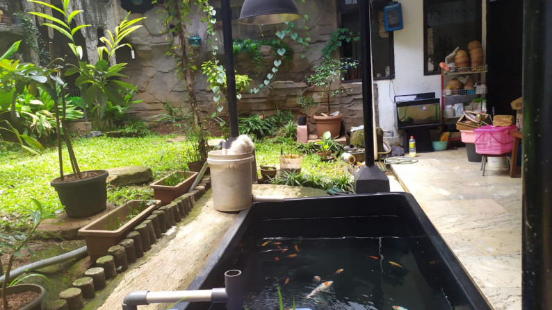 Rumah 2 lantai plus halaman belakang dengan kolam ikan di Lokasi strategis Cinere