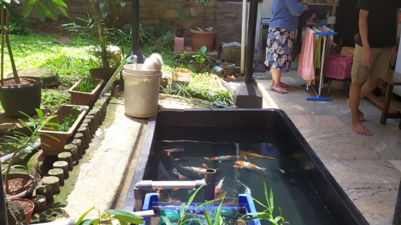 Rumah 2 lantai plus halaman belakang dengan kolam ikan di Lokasi strategis Cinere