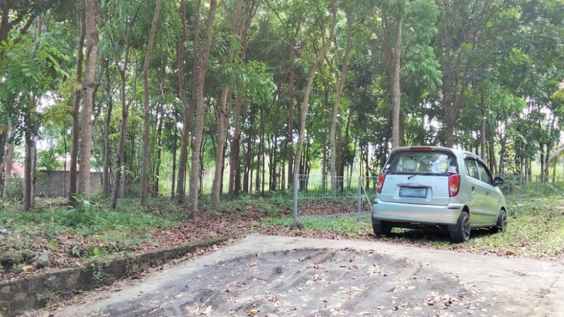 Tanah Luas untuk Villa di kaliurang Pakem Sleman yogyakarta