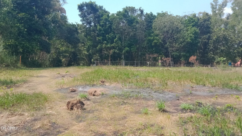 Tanah Luas untuk Villa di kaliurang Pakem Sleman yogyakarta