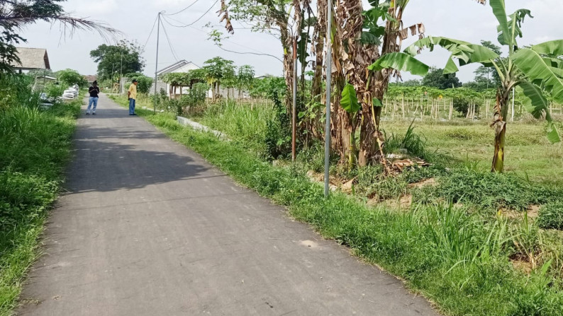 DIJUAL Sawah Luas hanya 5 menit dari Pemda Sleman