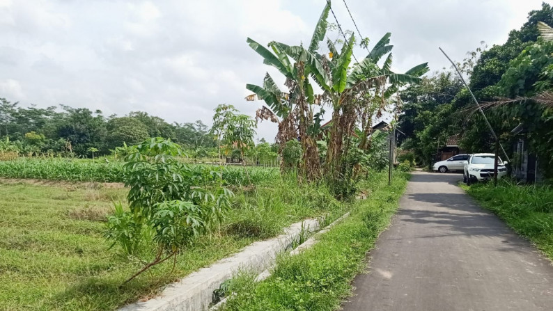 DIJUAL Sawah Luas hanya 5 menit dari Pemda Sleman