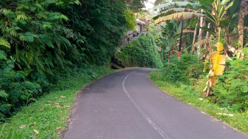 Kavling Pinggir Jalan Raya, Cocok Untuk Penginapan dan Asri @Desa Sebatu, Tegallalang, Gianyar-Bali