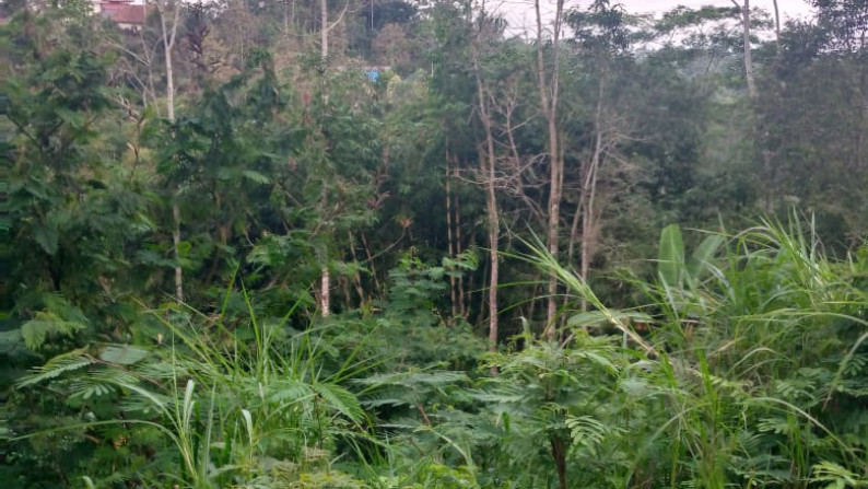 Kavling Pinggir Jalan Raya, Cocok Untuk Penginapan dan Asri @Desa Sebatu, Tegallalang, Gianyar-Bali