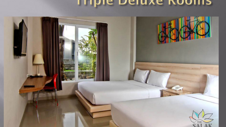 Hotel Bintang 3, 79 Kamar The Salak, Denpasar, Luas 1744