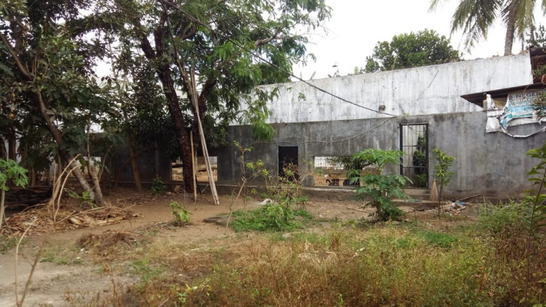 RUMAH DENGAN TANAH 1639 m2, DI JL DIPONEGORO, PURWOREJO