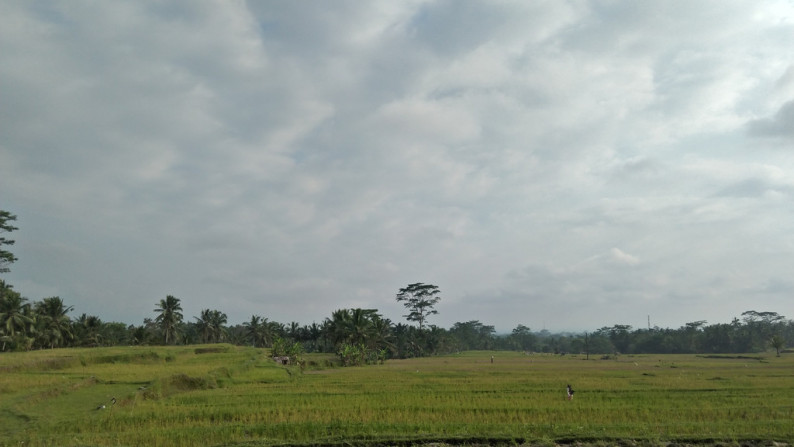 2090 Sqm of Freehold Land for Sale 25 minutes from Ubud Center