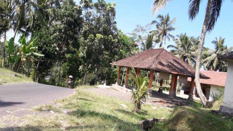 2090 Sqm of Freehold Land for Sale 25 minutes from Ubud Center