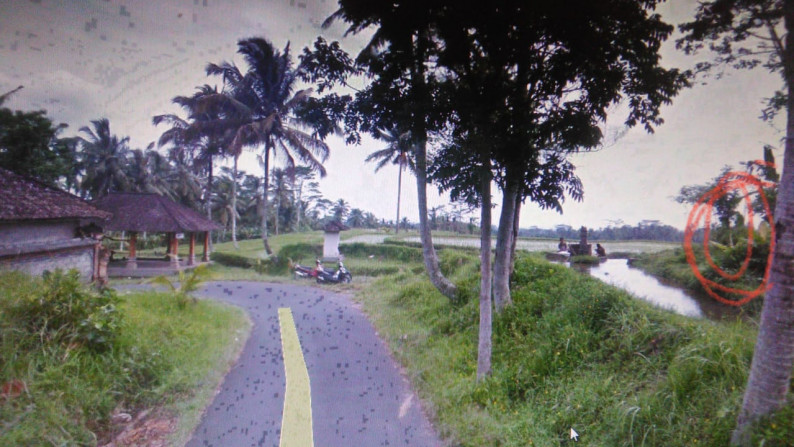 2090 Sqm of Freehold Land for Sale 25 minutes from Ubud Center