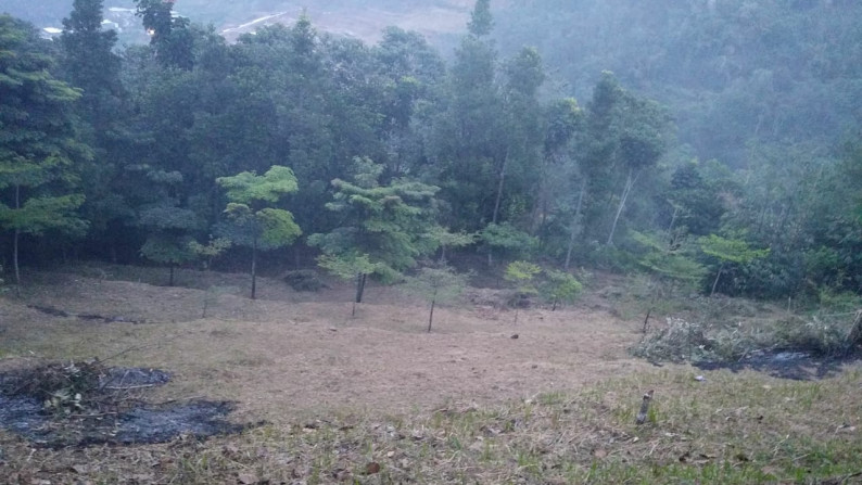 Dijual tanah di Jl Raya Puncak Pass Cibogo