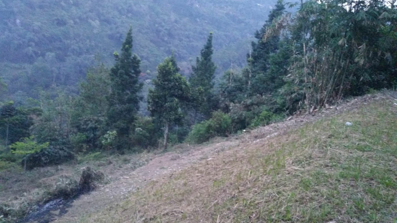 Dijual tanah di Jl Raya Puncak Pass Cibogo