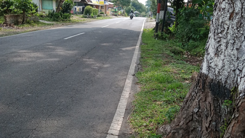 TANAH SELUAS 1360 METER PERSEGI DI DSN WONOSUKO, TEGALREJO, MAGELANG