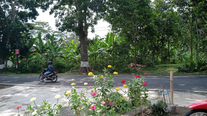 TANAH SELUAS 1360 METER PERSEGI DI DSN WONOSUKO, TEGALREJO, MAGELANG