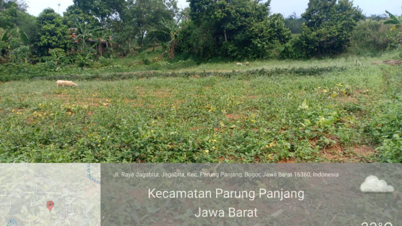 Dijual Tanah Kavling luas untuk Investasi di Parung Panjang