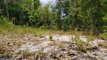 TANAH PEKARANGAN COCOK DIBANGUN RUMAH, BERADA DI BARAT KOLAM RENANG CITRA GRAND MUTIARA