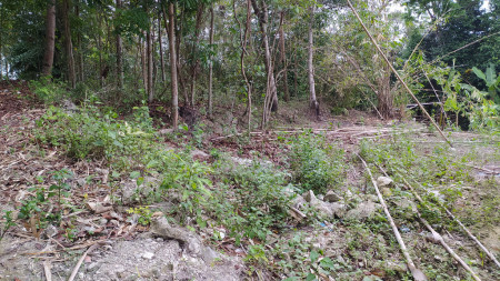 TANAH PEKARANGAN DENGAN HARGA TERJANGKAU 400AN METER DARI JALAN WATES GREEN KUANTAN REWULU