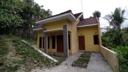 RUMAH DAN TANAH PEKARANGAN, 400AN METER DARI JALAN WATES GREEN KUANTAN REWULU