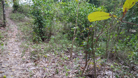 TANAH PEKARANGAN DENGAN HARGA TERJANGKAU 400AN METER DARI JALAN WATES GREEN KUANTAN REWULU