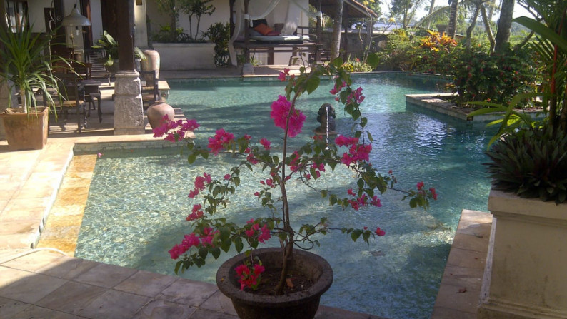 Di Jual Villa Pejeng Ubud Bali