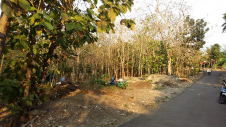 TANAH PEKARANGAN DI PERENGDAWE, DEKAT DARI JL WATES KM 9, SLEMAN