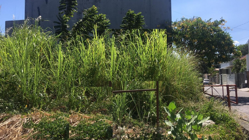 Tanah Dijual Sambisari Lontar Surabaya