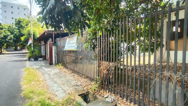 TANAH PEKARANGAN,JL PAKEL BARU, UMBULHARJO BELAKANG HOTEL TJOKRO