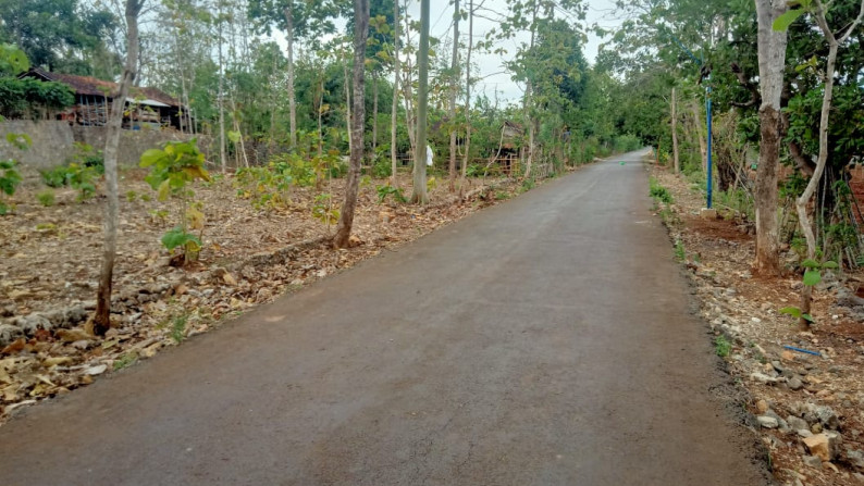 TANAH SELUAS 1249 METER PERSEGI DI SEMANU, GUNUNG KIDUL